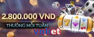 vnbet