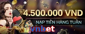 vnbet